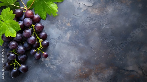 grape composition flat lay with free space for copy rock background