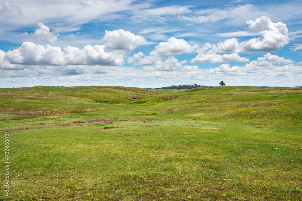 Prairies and Grasslands of Wind Cave National Park in South Dakota