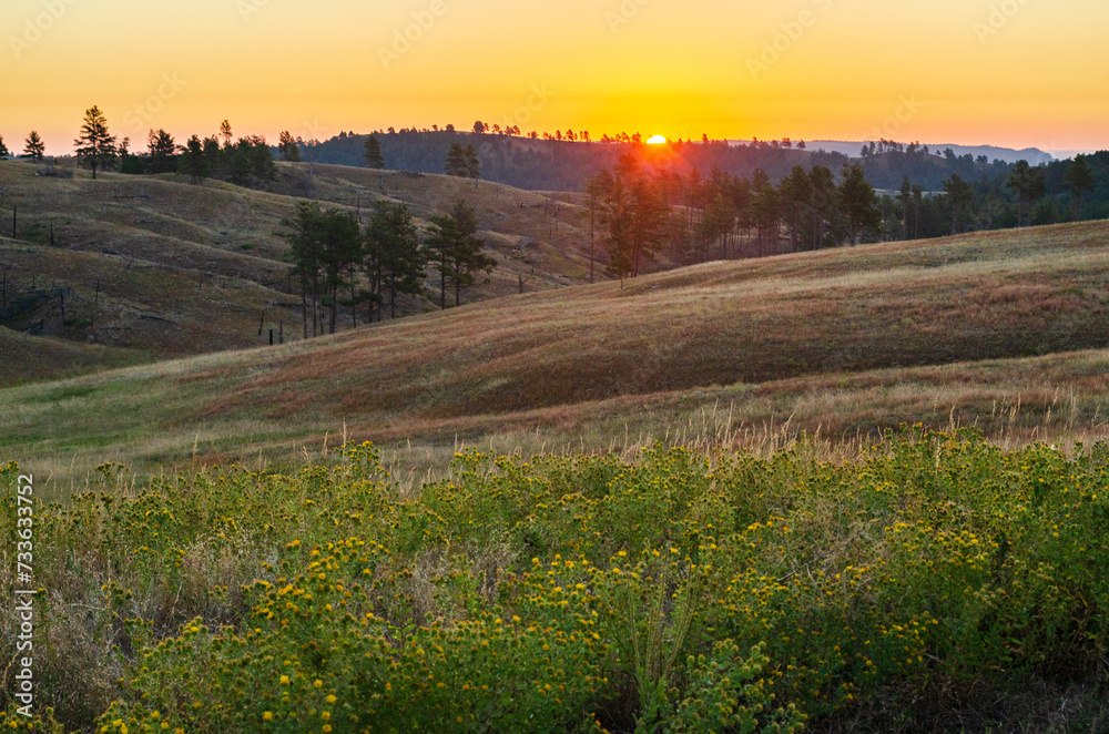 Prairies and Grasslands of Wind Cave National Park in South Dakota