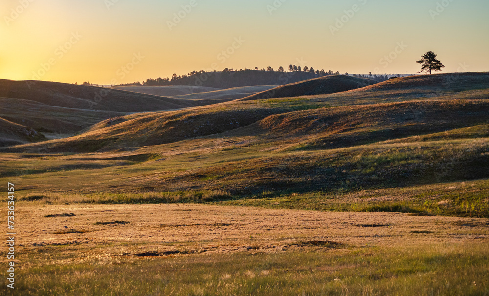 Prairies and Grasslands of Wind Cave National Park in South Dakota Prairies and Grasslands of Wind Cave National Park in South Dakota