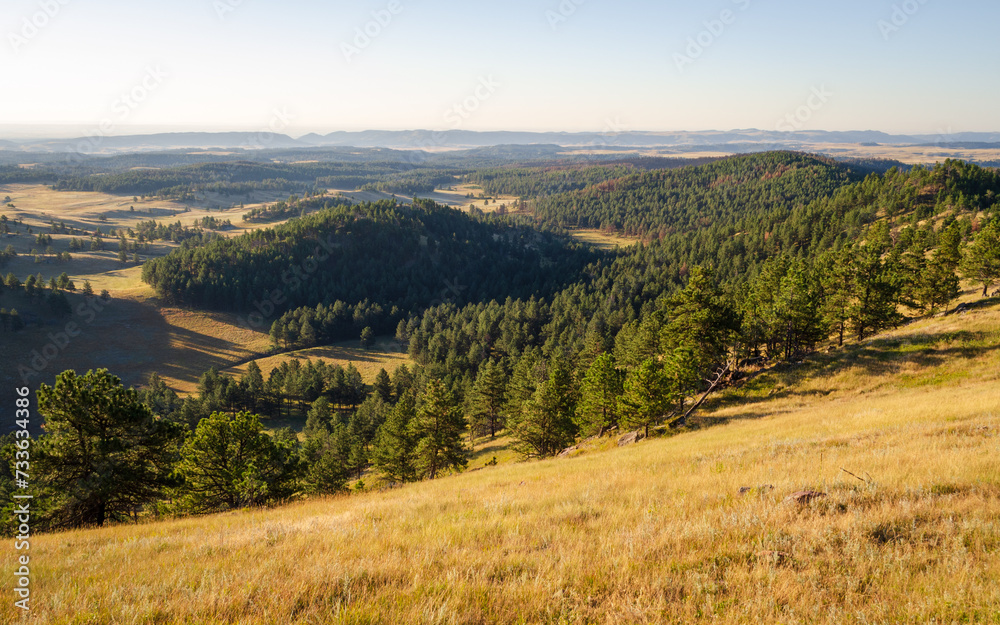 Naklejka premium Prairies and Grasslands of Wind Cave National Park in South Dakota