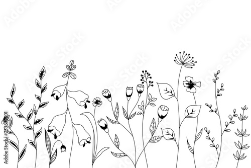 Nature vector background with hand-drawn wild grasses  flowers and leaves on white. Floral illustration in the Doodle style.