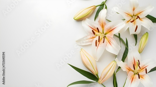 Beautiful lily flowers on white background  flat lay. Space for text 