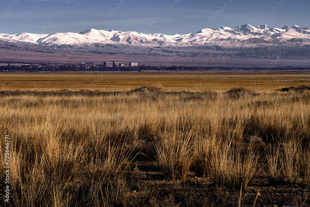 A steppe with orange-colored grass, with a city visible on the horizon against the backdrop of majestic snowy mountains. Balykchy City, Kyrgyzstan.