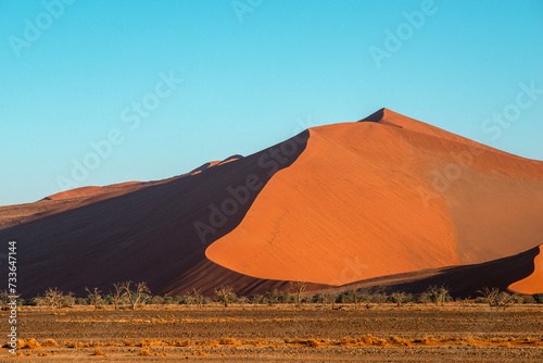red dune by morning