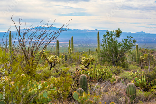 An overlooking view of nature in Tucson, Arizona