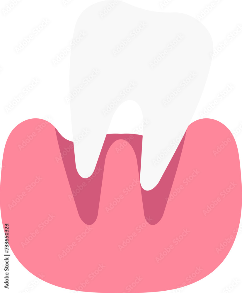 Dental Teeth Illustration Dental Teeth Illustration