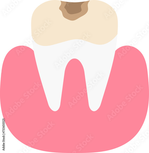 Dental Teeth Illustration