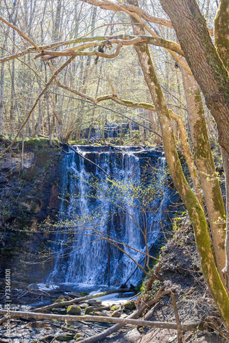 Fototapeta Naklejka Na Ścianę i Meble -  Waterfall in ravine with budding leaves on the trees in springtime