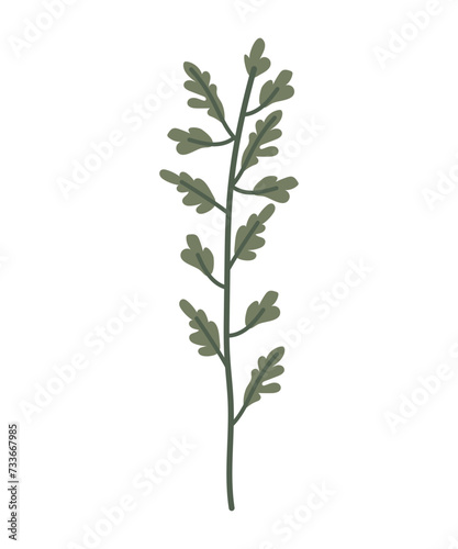 Branch with green leaves and long stem. Vector botanical illustration, icon, logo.