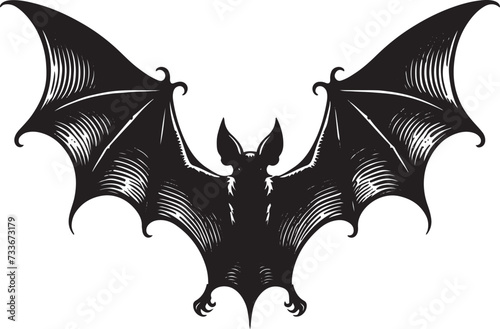 Flying bat with wings in different positions, illustration, black and white