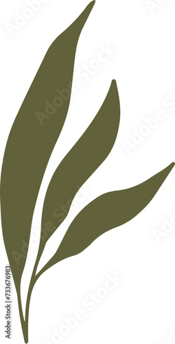 Green Nature Organic Leaf Graphic Element