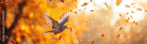 Bird watching. Autumn background . Banner © kramynina