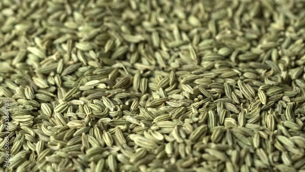 dry fennel seed sounf food background texture closeup rotate footage dry fennel seed sounf food background texture closeup rotate footage