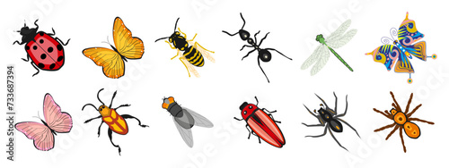 Insect  set, butterfly, ant, dragonfly, wasp, ladybug, beetle, spider. Zoological icons, templates, decor elements, vector © Tatiana