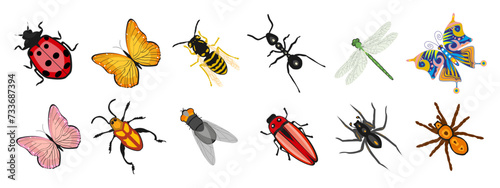 Insect  set, butterfly, ant, dragonfly, wasp, ladybug, beetle, spider. Zoological icons, templates, decor elements, vector