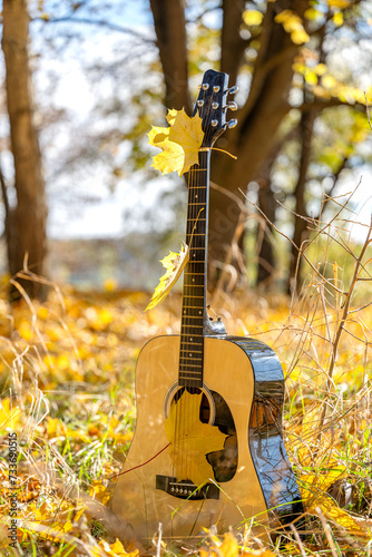 guitar in autumn leaves