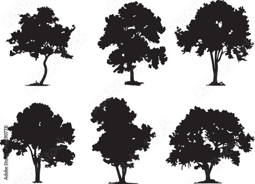 Set Trees. Hand drawn vector illustration