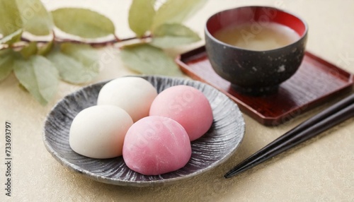 Japanese Mochi - Rice Cake or Mochigome Confectionary - Traditional Sweets from Japan - Presented in a Delightful and Tasteful Way
