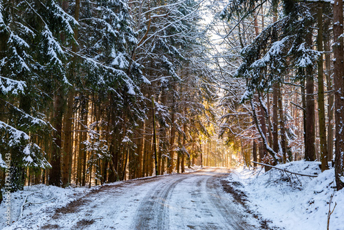 Small country road in winter with sunshine on trees