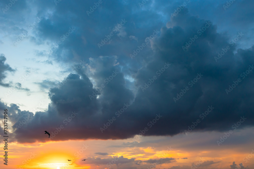 cloudscape at sunset with seagulls.