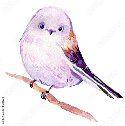 Cute Chinese Bird Watercolor on Isolated white background