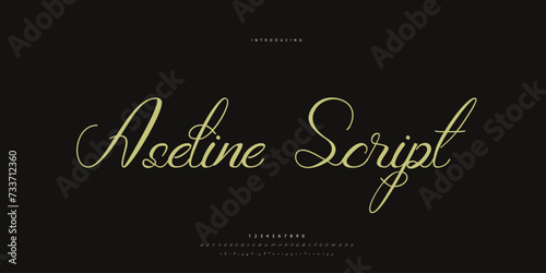 signature Font Calligraphy Logotype Script Brush Font Type Font lettering handwritten 