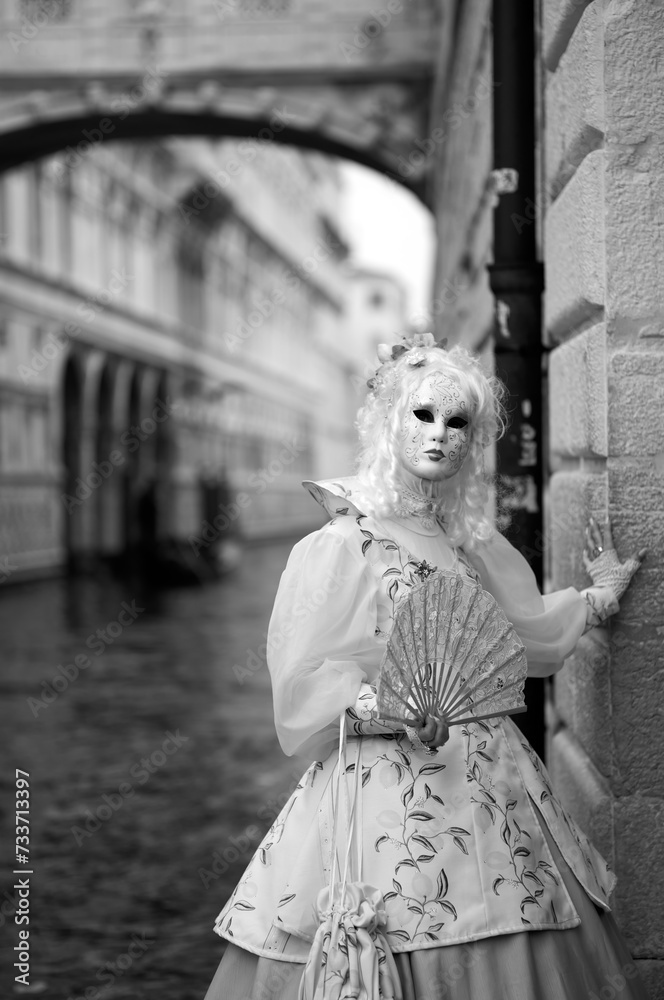 Venice, Italy - February 2024 - carnival masks are photographed with tourists in San Marco square Venice, Italy - February 2024 - carnival masks are photographed with tourists in San Marco square