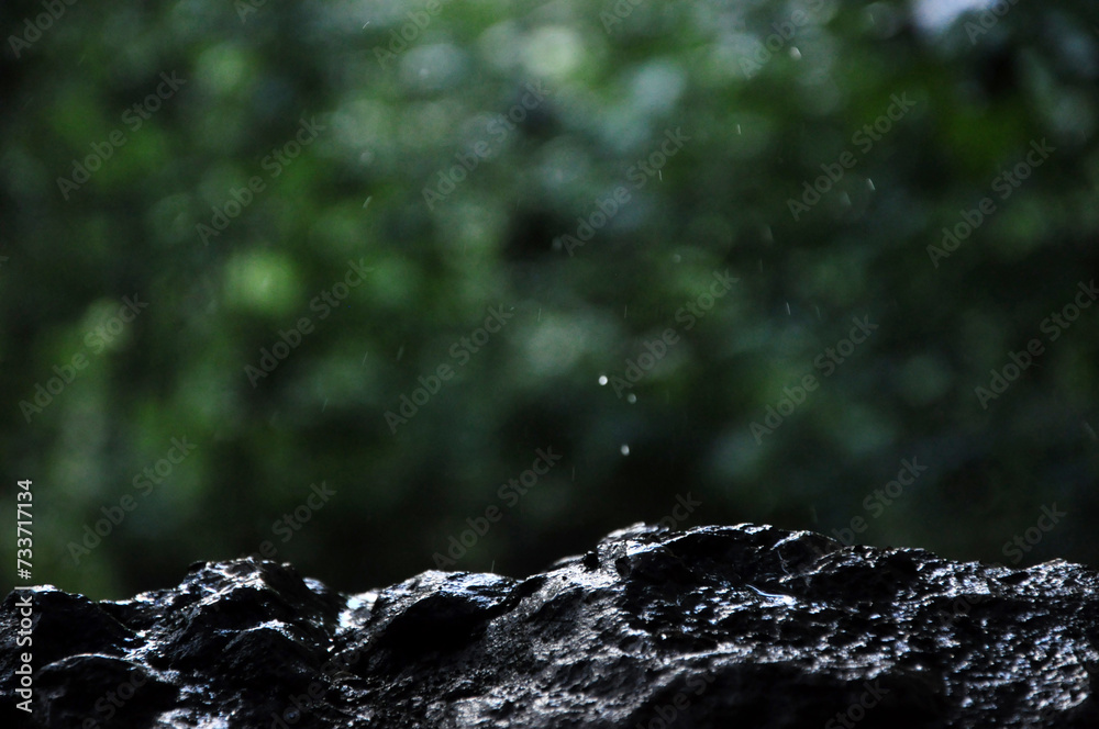 Wet limestone rock with blurry forest background in a rainy day Wet limestone rock with blurry forest background in a rainy day