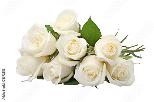 White Roses Isolated On Transparent Background