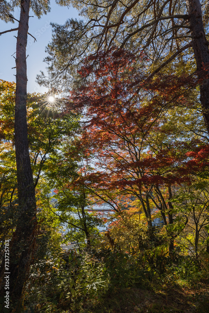 Obraz premium 日本 福島県河沼郡柳津町にある福満虚空蔵菩薩、円蔵寺の紅葉