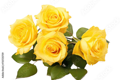 Yellow Roses Arranged in Elegance Isolated On Transparent Background