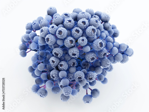 blueberries, their deep blue hues and delicate frosty texture highlighted against a stark white background