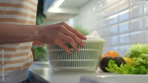 Drying washed green spinach in plastic handheld home kitchen centrifuge type dryer. Cooking dinner from wholesome fresh organic ripe vitamin filled vegetable. Natural raw foods for detox, weight loss photo