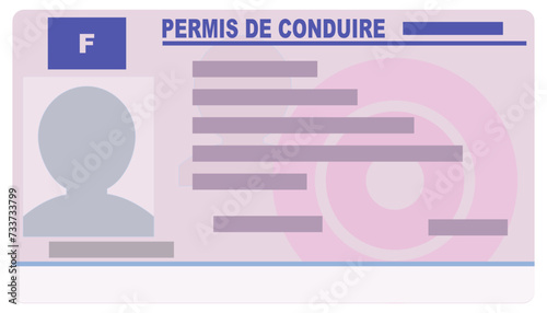 French driving license written in French in flat design style (cut out)