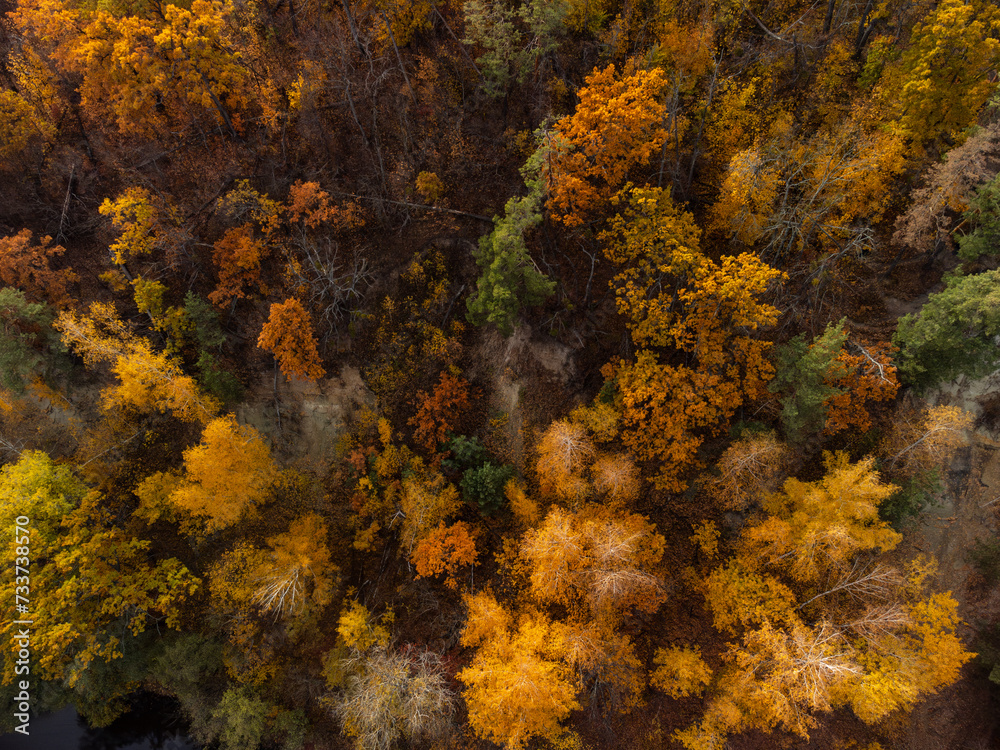 Autumn aerial drone look down view on colorful golden trees on riverbanks. Autumnal vibrant forest Autumn aerial drone look down view on colorful golden trees on riverbanks. Autumnal vibrant forest
