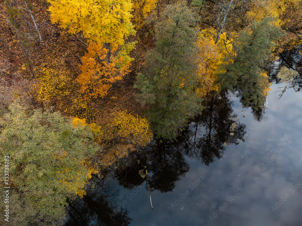 Autumn aerial drone look down view on river with colorful trees on riverbanks. Autumnal vibrant Ukraine nature scenery