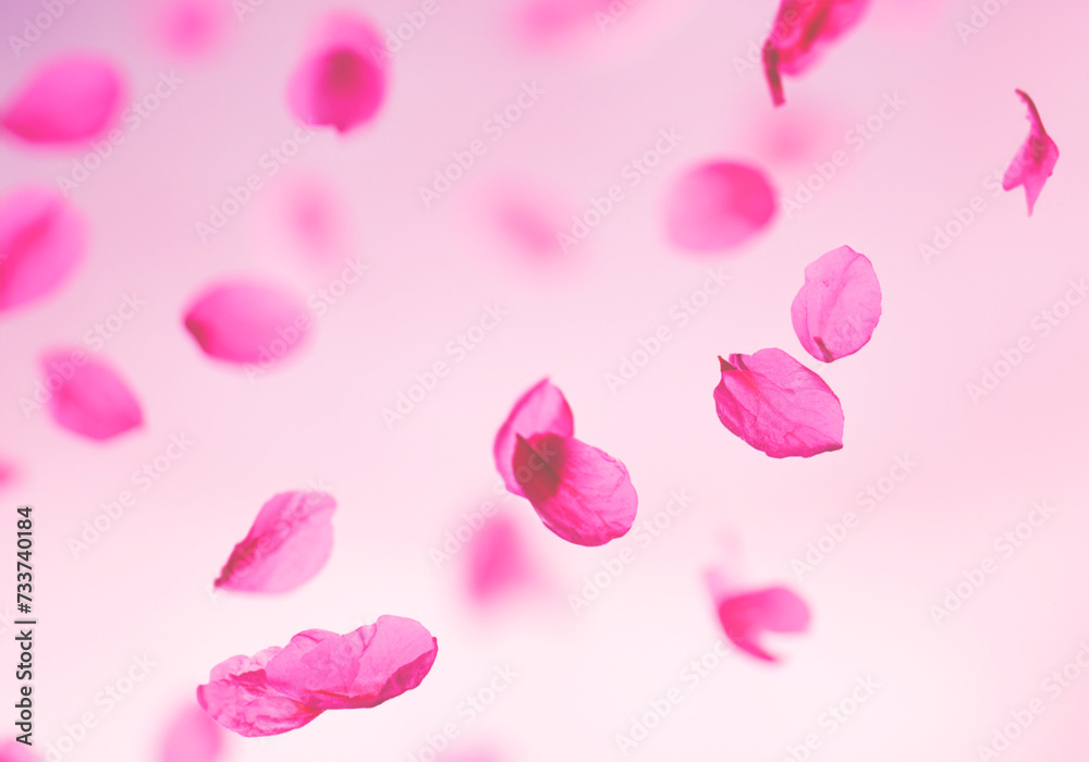 桜の花びらが舞う背景　和風素材