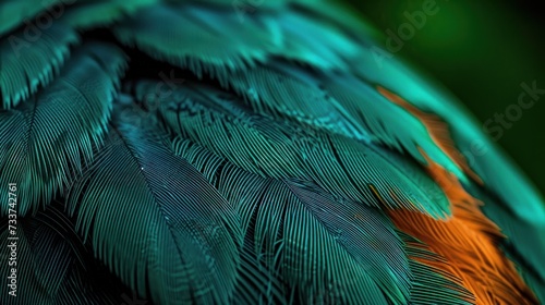 feather bird macro photo. texture or background © Tisha