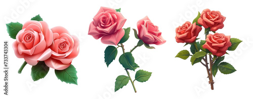 3D Illustration of Pink Roses in Various Stages of Bloom on White Background