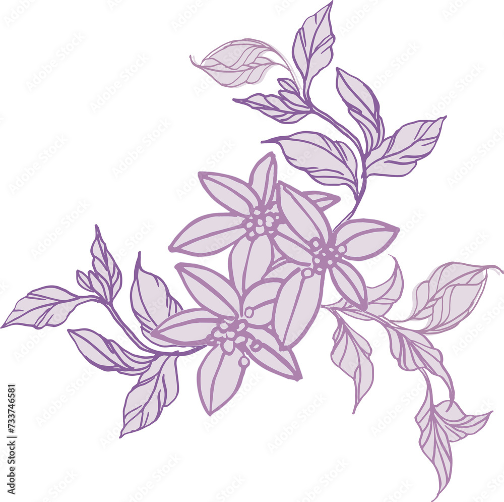 Bouquet (composition) of tropical botanical and plant elements (silhouettes, linear drawings) on a transparent background (PNG file) Bouquet (composition) of tropical botanical and plant elements (silhouettes, linear drawings) on a transparent background (PNG file)
