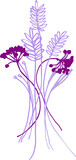 Bouquet (composition) of tropical botanical and plant elements (silhouettes, linear drawings) on a transparent background (PNG file)