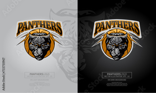 Panthers Basketball Mascot Logo Template. You can use this logo for mascot or symbol identity, emblem basketball sports team, and more.