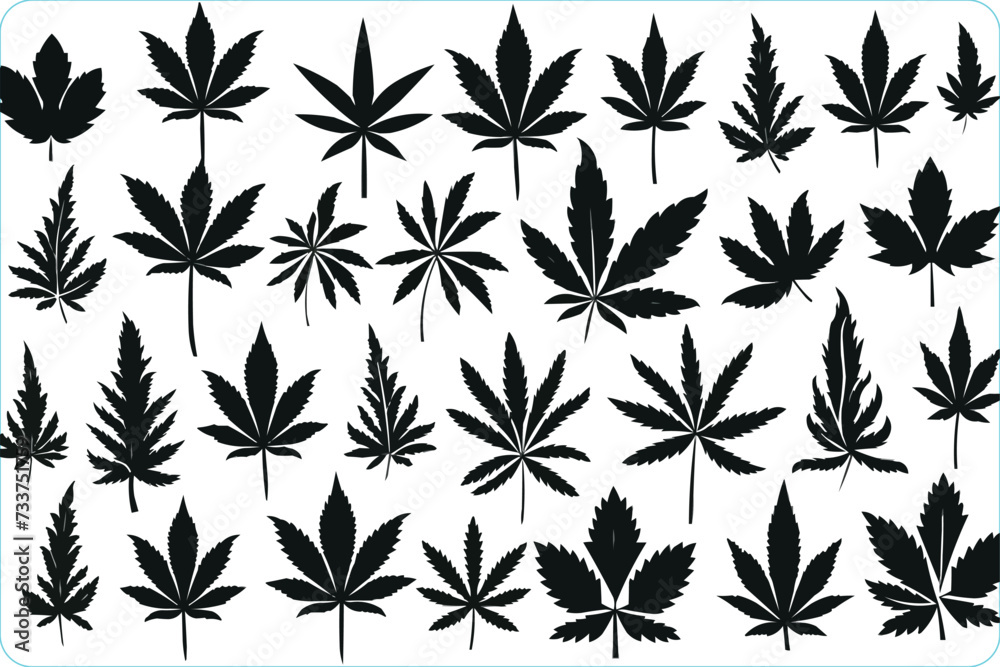Cannabis leaf vector icon, Silhouette of Cannabis leaves, Cannabis leaf graphic icon, Cannabis vector icon
