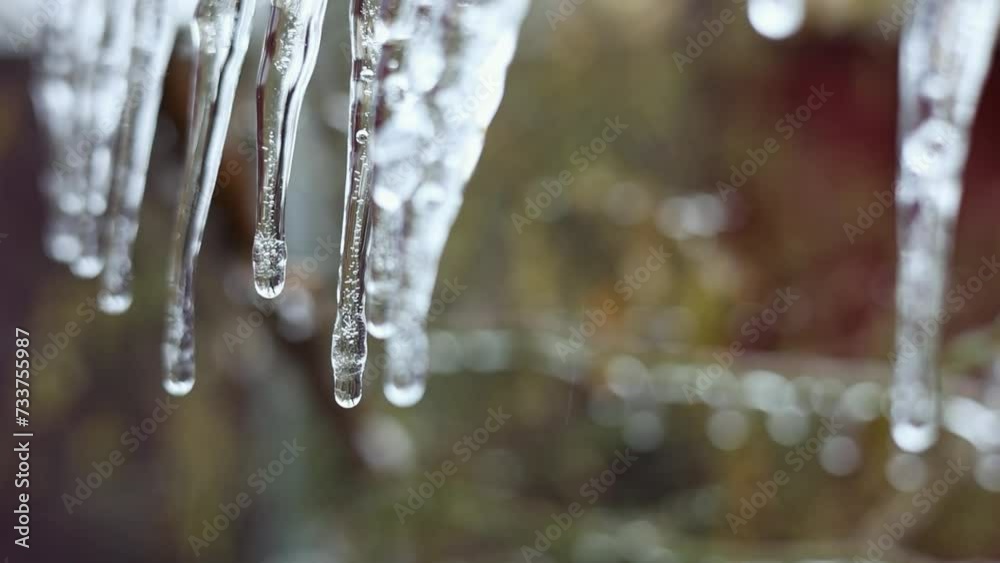 Icicles and a drop of melt water close-up. Snow melting. The beginning of the warm season, the end of winter. Icicles and a drop of melt water close-up. Snow melting. The beginning of the warm season, the end of winter.