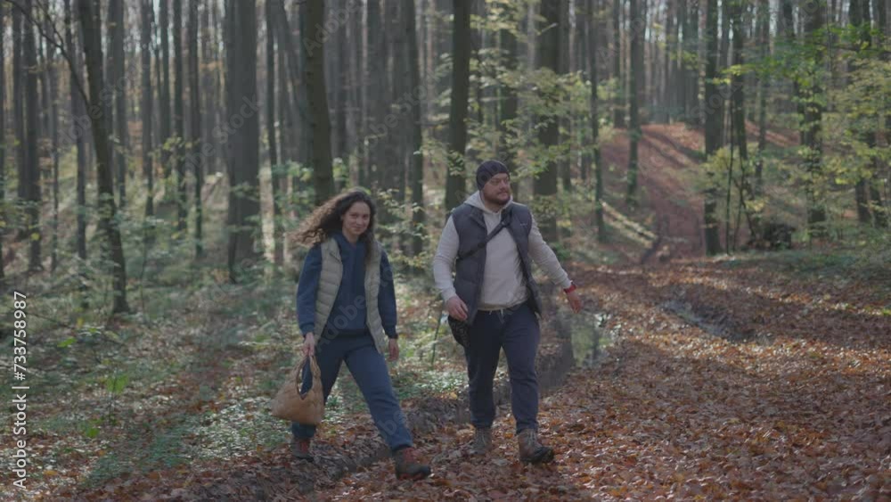 couple with dogs walking in the forest and foraging mushrooms during sunny autumn day. Slow living in countryside concept couple with dogs walking in the forest and foraging mushrooms during sunny autumn day. Slow living in countryside concept