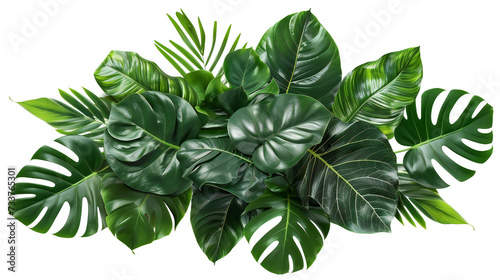 natural green fresh leaves of tropical plants bush floral arrangement indoors, garden nature backdrop isolated on white background. Generation AI