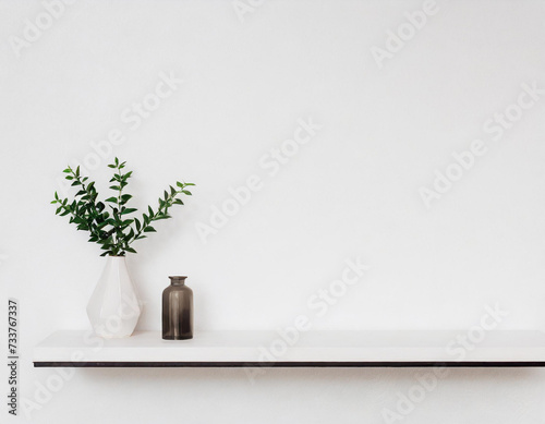 pot flower on shelf wall © Anek
