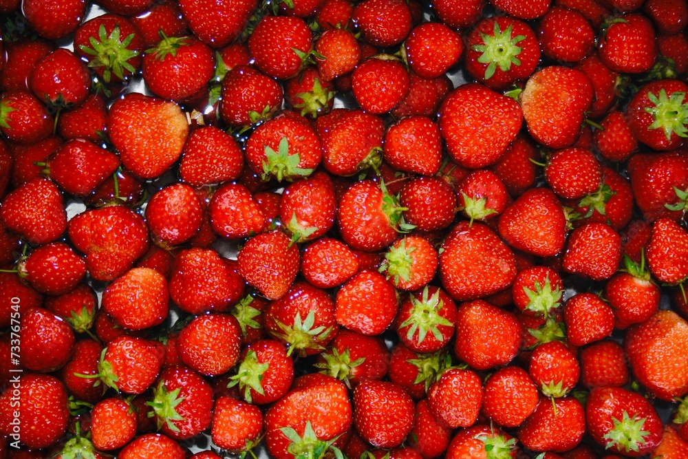 Knallrote Erdbeeren Knallrote Erdbeeren