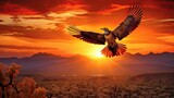 light phoenix sunrise
